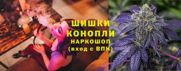 винт Белокуриха