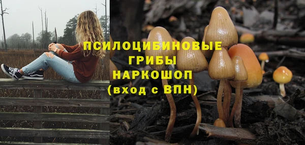 крисы Беломорск
