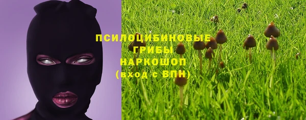 крисы Беломорск