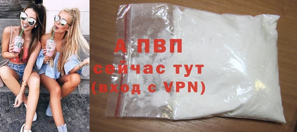 винт Белокуриха