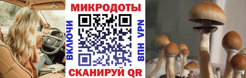 Галлюциногенные грибы MAGIC MUSHROOMS  Волжск 